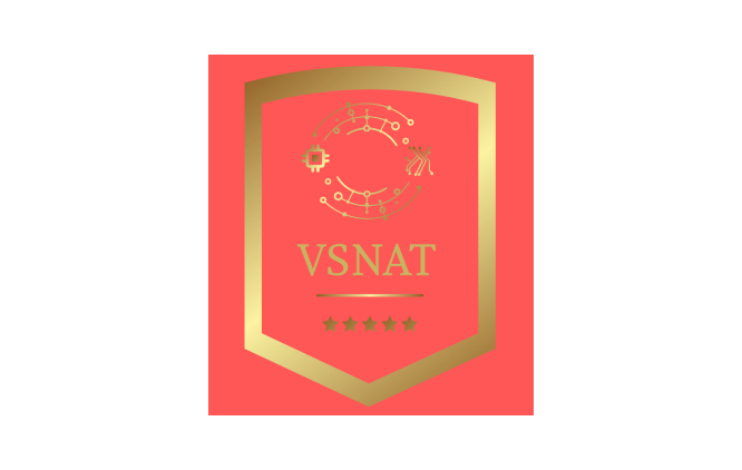 VSNAT